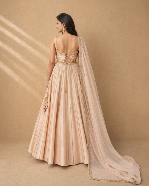 Nude Pink Corset Lehenga Set
